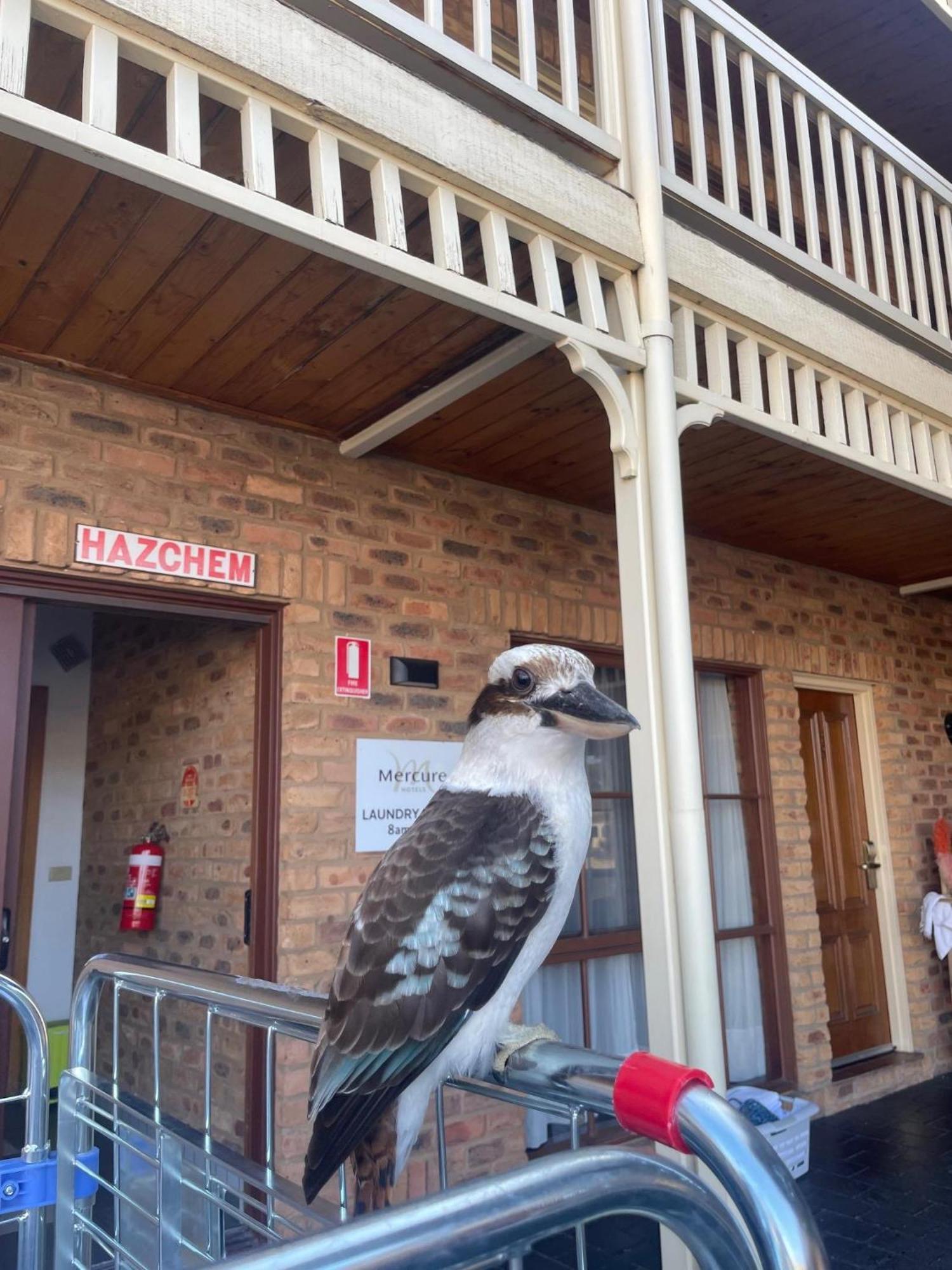 Mercure Port Of Echuca Exterior photo